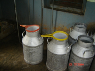  PROCURING RAW MILK WITHOUT ADULTERATION, DILUTION AND MANIPULATION